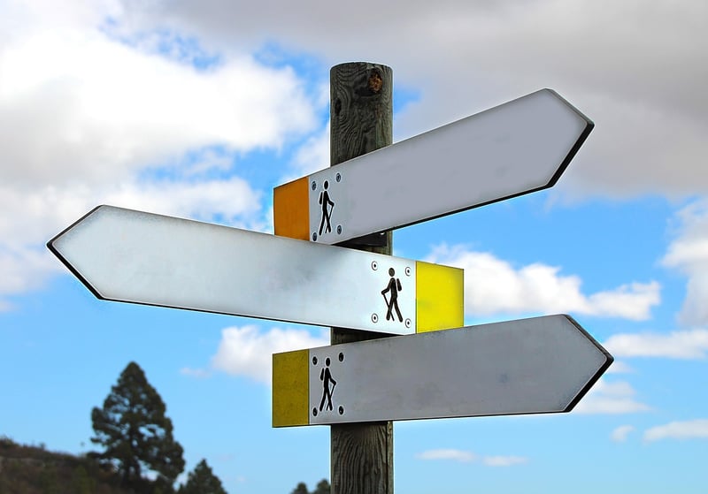 Career Growth Strategies